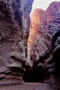 天山山猫队小胜嵩山雄鲨队，F1半决赛上演裁判判罚引热议！团队防守值得称道的简单介绍